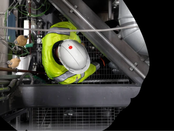 Low-Carbon Technology Industry (Master)