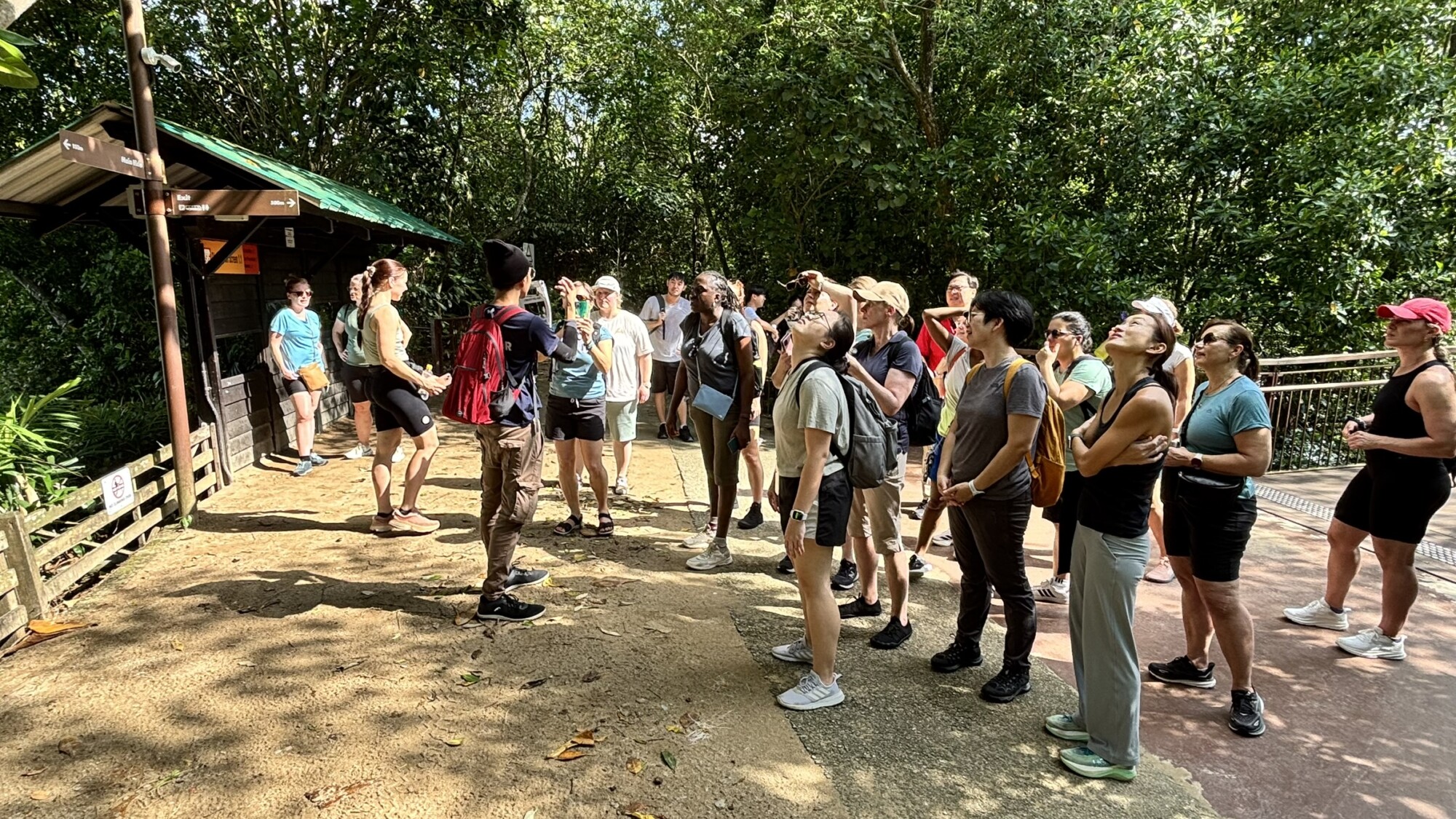 Joukko ihmisiä, joillakin hattuja ja reppuja yllään, kokoontuu aurinkoisena päivänä ulkoilmaan kuuntelemaan opasta ja katselemaan jotain kiinnostavaa lähellä metsäistä aluetta, jossa on puita ja pieni suoja.