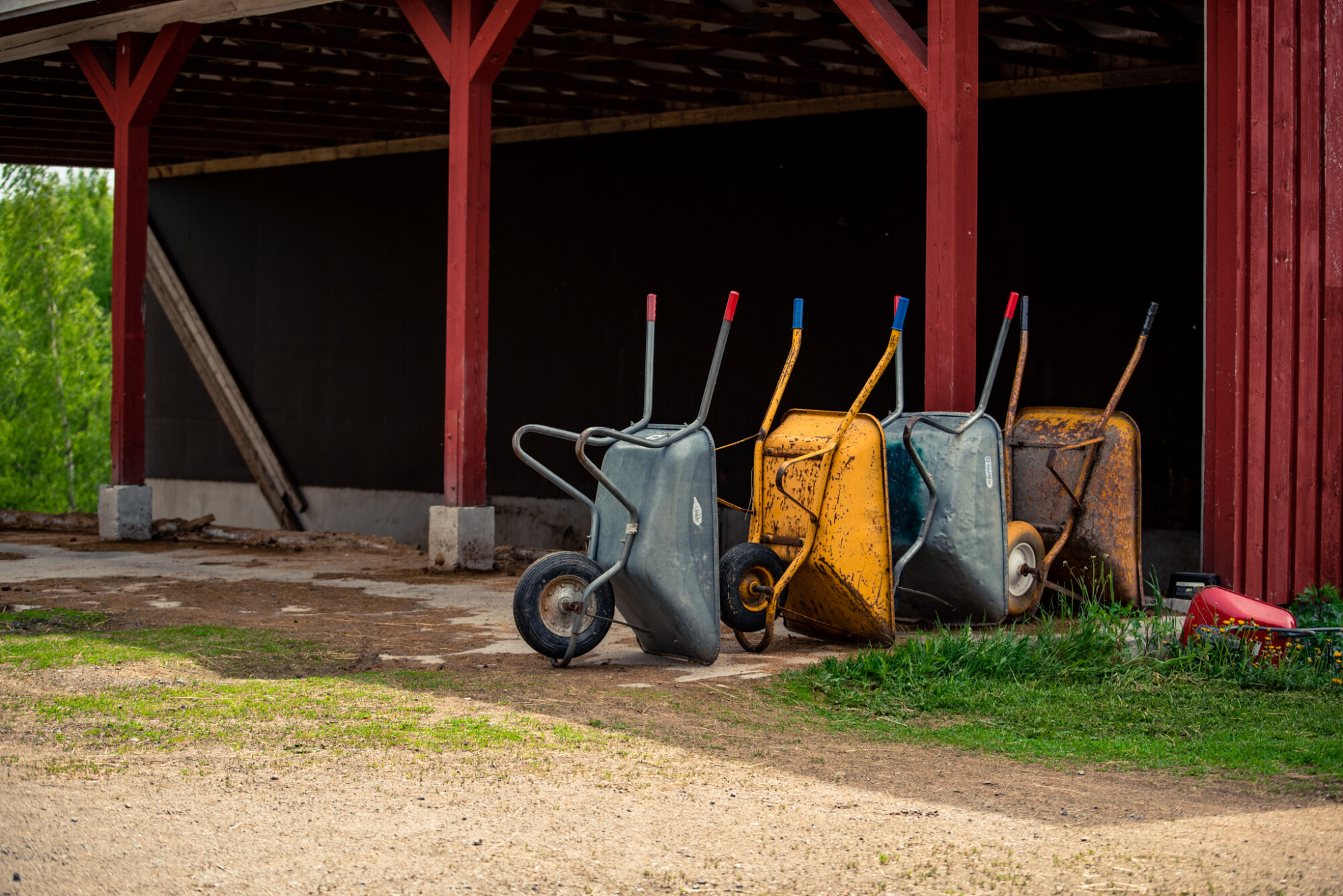 Neljä kottikärryä, kolme keltaista ja yksi harmaa, on rivissä punaista puurakennusta vasten, jossa on katettu avosuoja, mullan ja ruohon päällä.