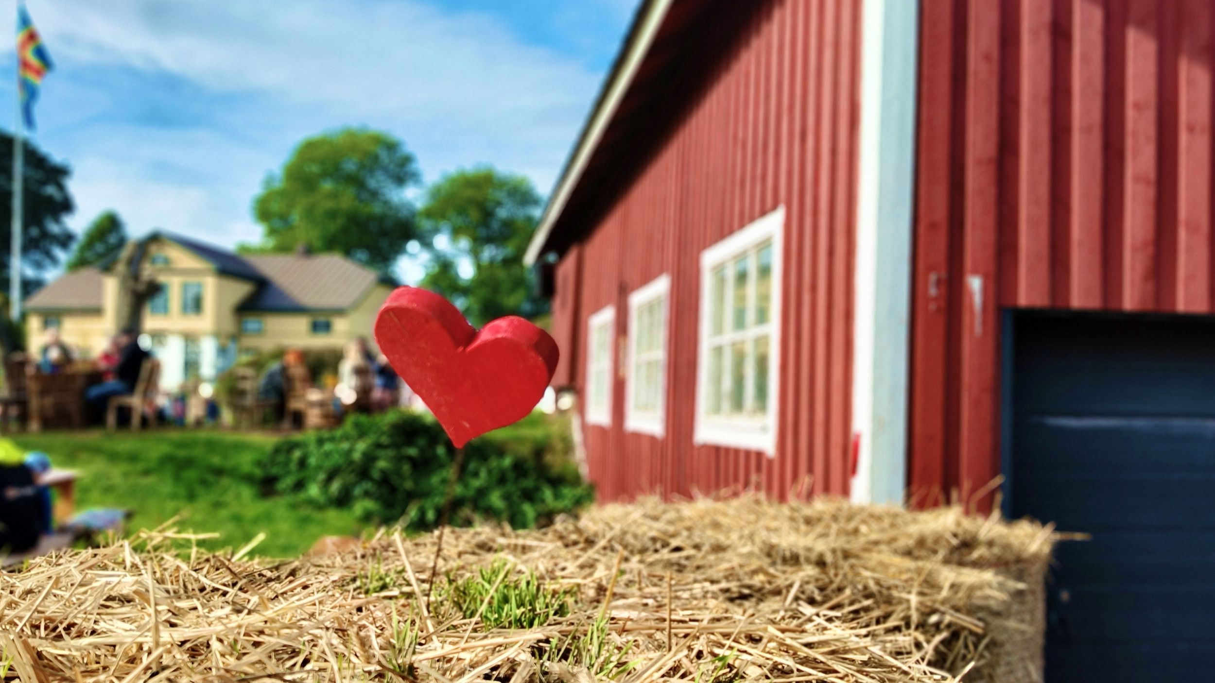 Punainen sydänkoriste istuu heinänpaalin päällä punaisen ladon edessä, ja taustalla on talo ja ihmisiä aurinkoisena päivänä.