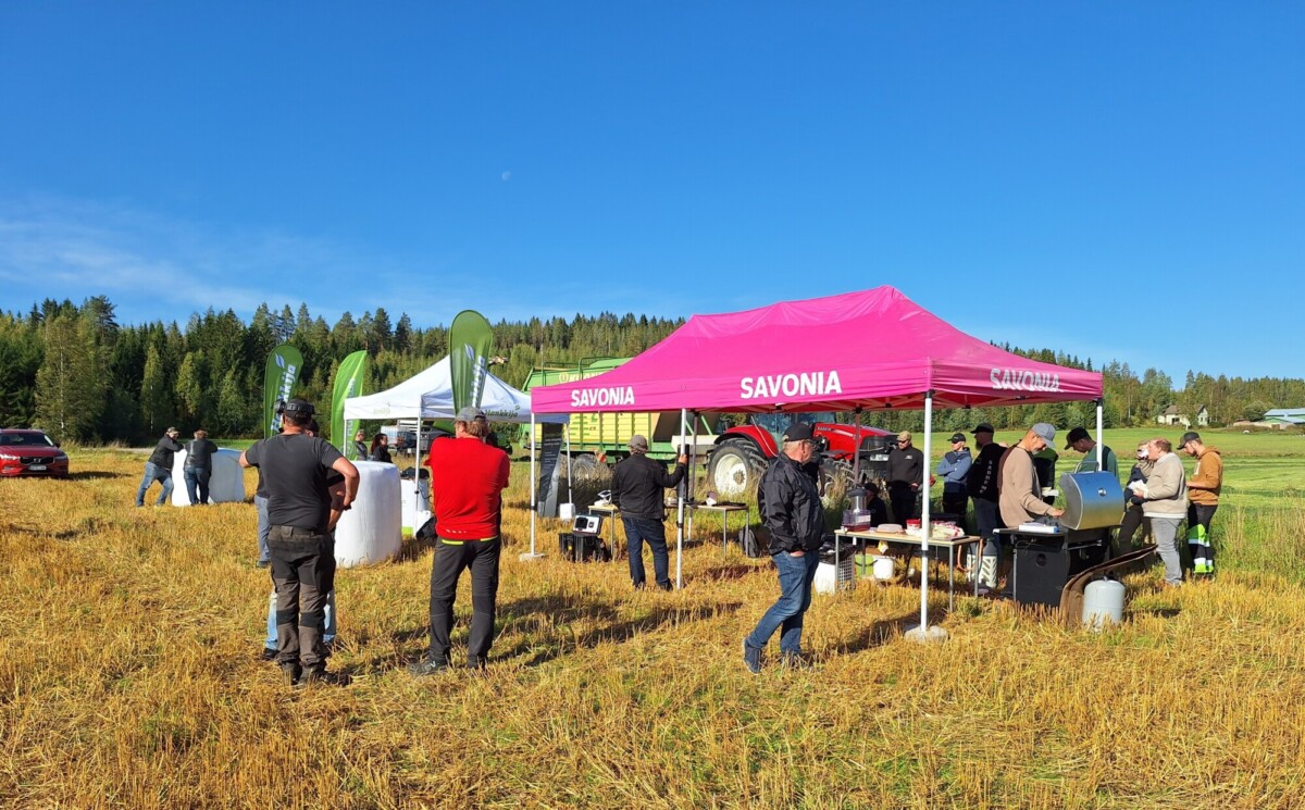 Ihmiset kerääntyvät aurinkoisena päivänä pellolle pystytettyjen SAVONIA-telttojen alle. Jotkut seisovat grillin ja ruokapöytien äärellä, kun taas toiset keskustelevat. Taustalla näkyy traktori ja metsä.