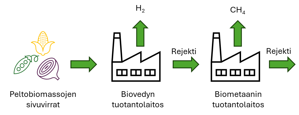 Kaavio, jossa maatalousbiomassan sivuvirrat käsitellään kahdessa tehdasvaiheessa: ensin tuotetaan H₂:ta, jonka jälkeen tuotetaan CH₄:ta, jonka jälkeen tuotetaan toista rejektiä. Merkinnät ovat suomeksi.