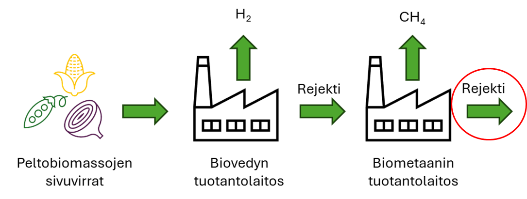 Kaavio, jossa näytetään viljelykasvien biomassan sivuvirrat, jotka käsitellään biokaasulaitoksessa vedyn (H2) tuottamiseksi ja jalostetaan edelleen biometaanilaitoksessa metaanin (CH4) tuottamiseksi, sekä rejektit molemmissa vaiheissa. Teksti on suomeksi.