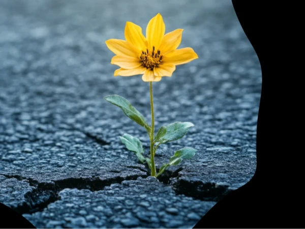 Henkisen kriisinkestävyyden ensiapupaketti