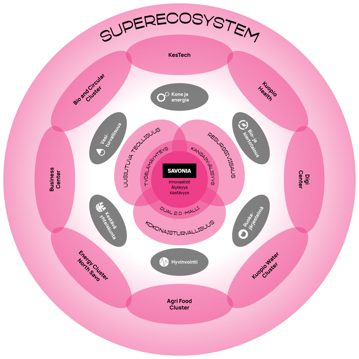 Vaaleanpunaisessa ympyränmuotoisessa SUPERECOSYSTEM-kaaviossa esitetään toisiinsa liittyviä klustereita ja teemoja keskeisen Savonia-keskittymän ympärillä, ja osiot on merkitty teknologia-, hyvinvointi-, energia-, liiketoiminta-, vesi- ja digitaaliklustereille. Teksti on pääosin suomeksi.