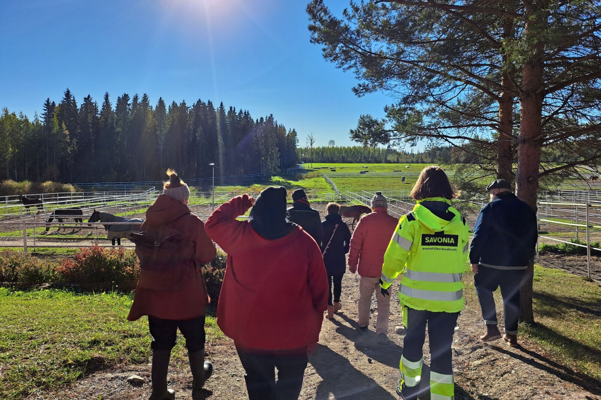 Joukko ihmisiä, joilla on kirkkaat takit, kävelee polkua pitkin kohti aurinkoisia, aidattuja laitumia maatilalla, jota ympäröivät puut ja kirkas sininen taivas.