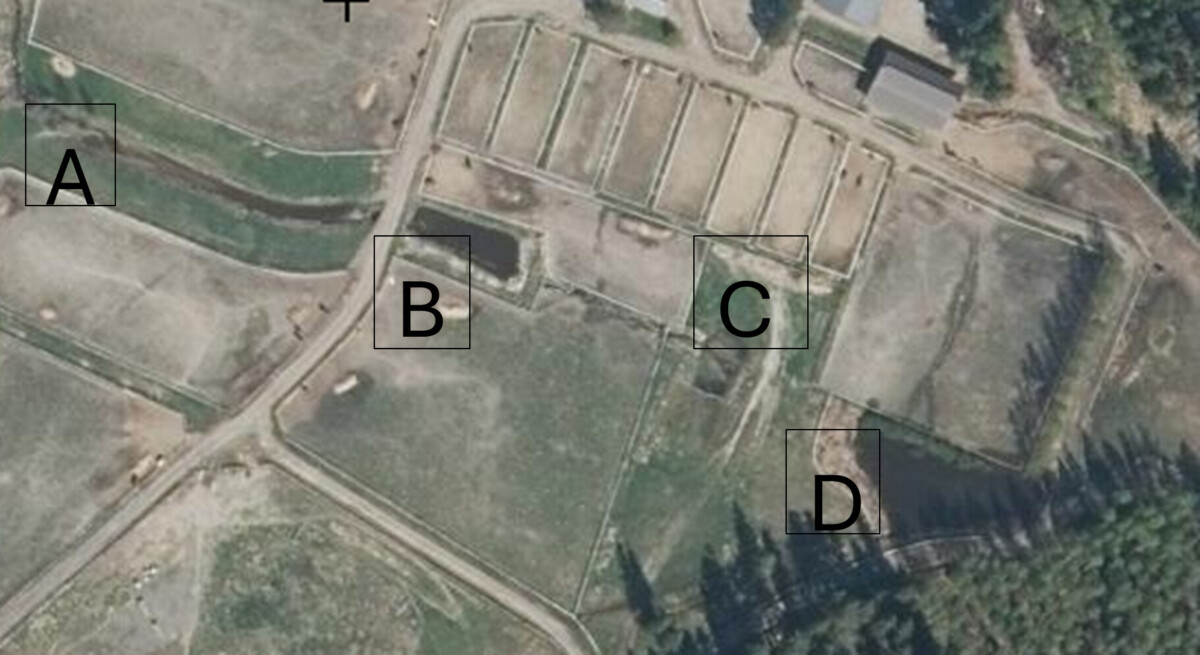 Ilmakuva maatilasta, jossa on aidattuja aitauksia ja rakennuksia. Neljä osastoa, jotka on merkitty A, B, C ja D, on merkitty mustilla laatikoilla eri aitausten sisällä. Alueen ympärillä näkyy ruohoa, hiekkateitä ja puita.