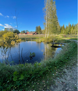 Pieni lampi ruohon ja puiden ympäröimänä kirkkaalla sinisellä taivaalla, veden yli ulottuva puinen laituri ja taustalla näkyvät punaiset rakennukset.
