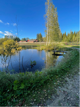 Pieni lampi ruohon ja puiden ympäröimänä kirkkaalla sinisellä taivaalla, veden yli ulottuva puinen laituri ja taustalla näkyvät punaiset rakennukset.