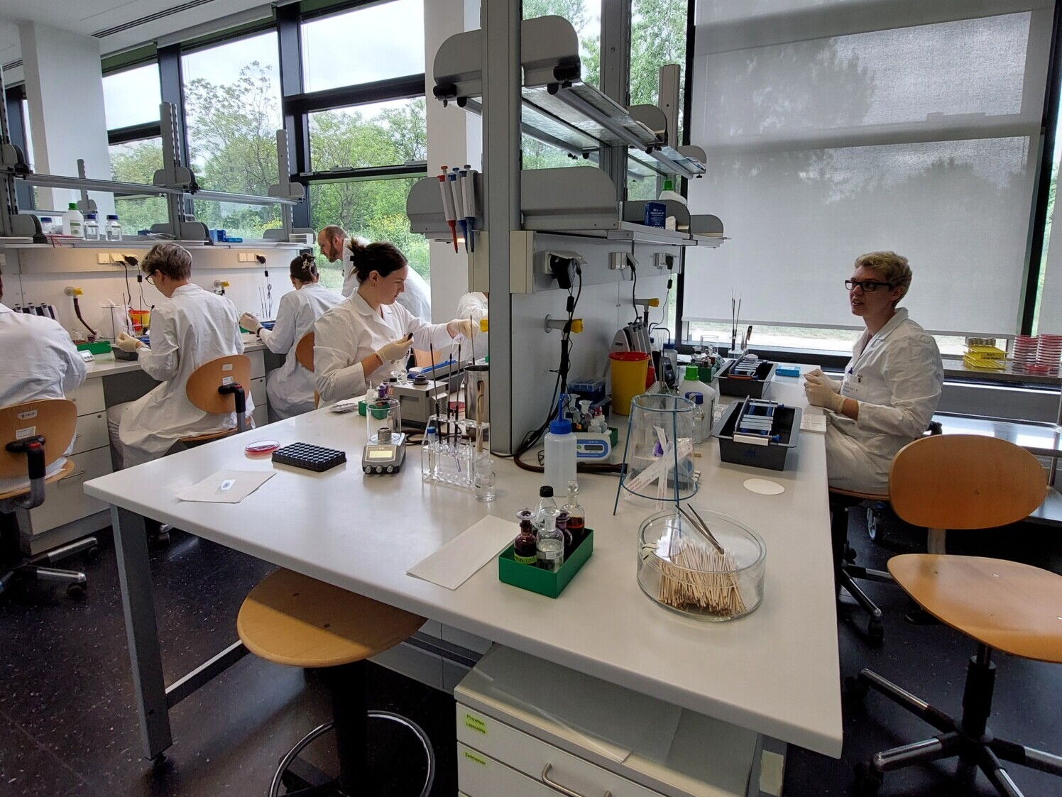 Useat valkoisiin laboratoriotakkeihin pukeutuneet ihmiset työskentelevät penkkien ääressä valoisassa, modernissa laboratoriossa, jossa on suuret ikkunat ja pöydillä tieteellisiä instrumentteja, lasitavaraa ja laitteita.