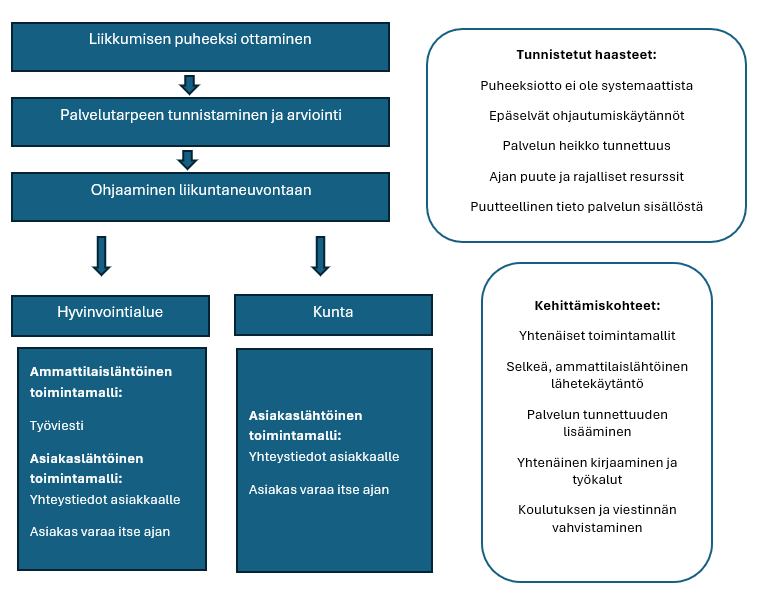 Suomalainen vuokaavio liikunnan edistämisestä terveydenhuollossa, jossa esitetään seuraavat vaiheet: keskustelun käynnistäminen, tarpeiden arviointi, ohjaus sekä ammattilaisten ja kuntien roolit. Sivulaatikoissa on tunnistettuja haasteita ja kehittämiskohteita.