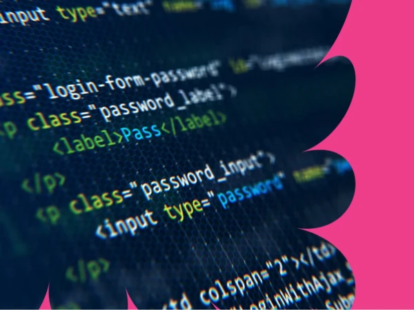 Python-jatkokurssi Avoin, Ripa