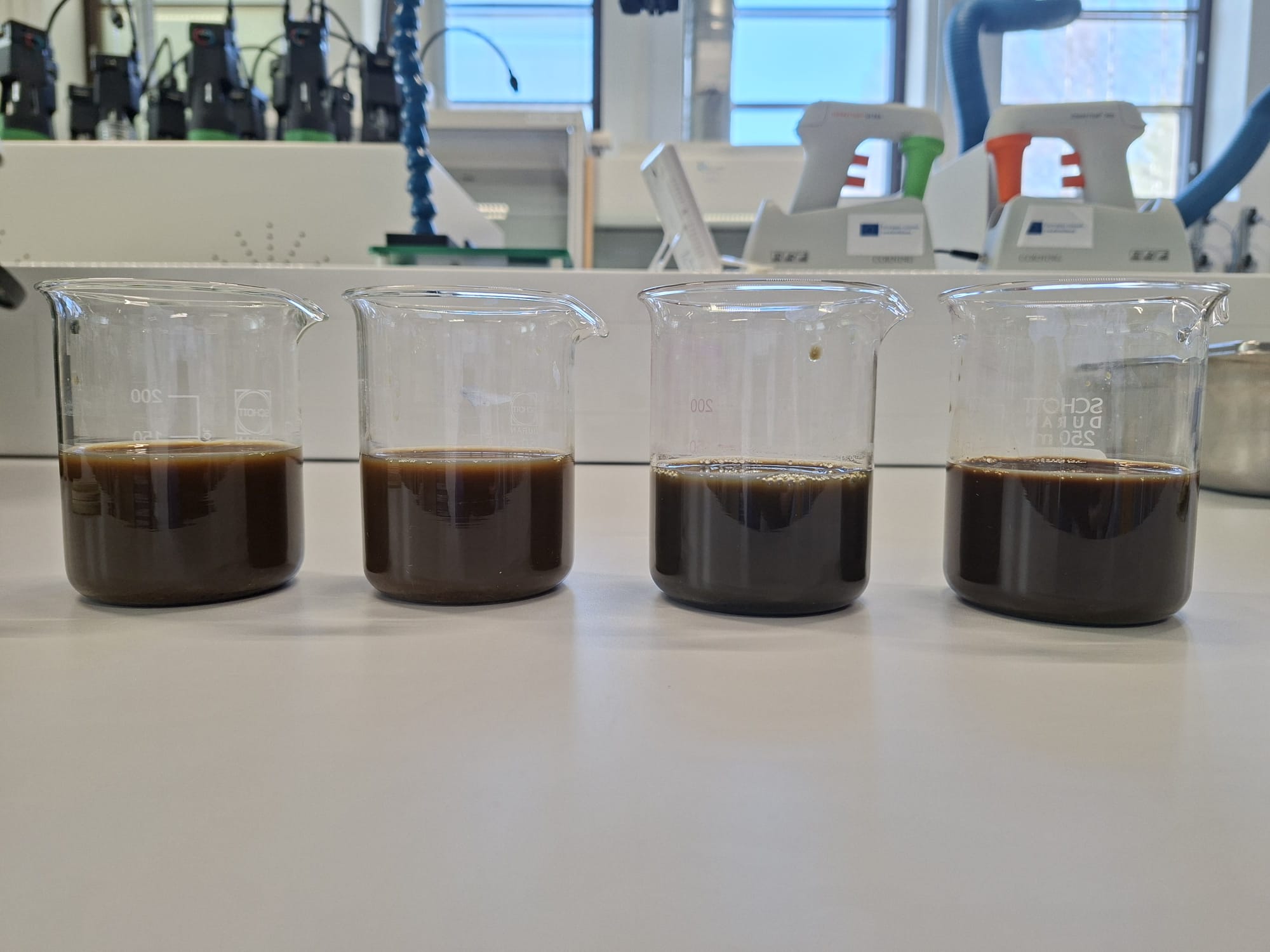 Neljä tummanruskeaa nestettä sisältävää lasipikaria on rivissä valkoisella laboratoriopenkillä, ja taustalla näkyy laboratoriolaitteita ja ikkunoita.