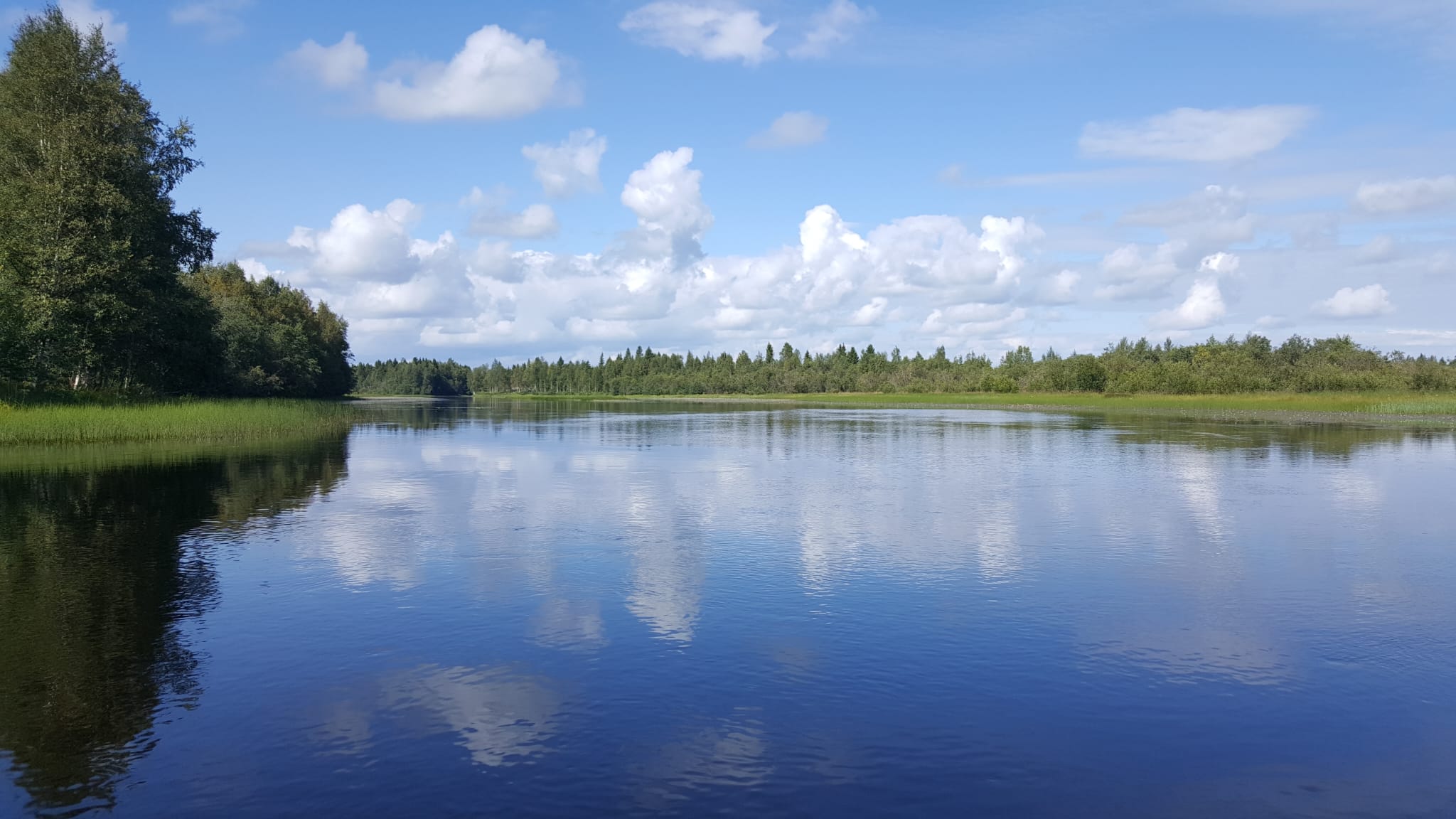 Rauhallinen joki vihreiden puiden ja ruohon ympäröimänä sinisen taivaan alla, jossa on hajanaisia pörröisiä valkoisia pilviä, jotka heijastuvat veden pintaan.
