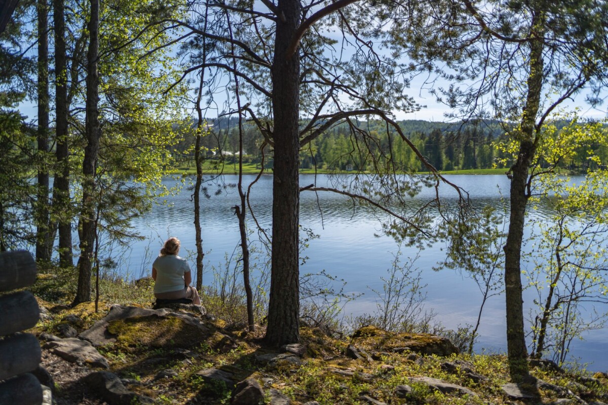 Henkilö istuu kalliolla korkeiden puiden alla, ja hänellä on näkymä rauhalliseen järveen, jota ympäröi rehevä vehreys. Auringonvalo suodattuu oksien läpi luoden rauhallisen, seesteisen luonnonmaiseman.