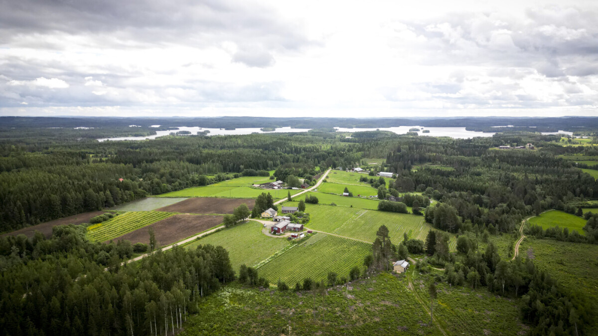 Ilmakuva maaseutumaisemasta, jossa on vihreitä peltoja, hajallaan olevia taloja, tiheitä metsiä ja kaukana näkyvä järvi pilvisen taivaan alla.