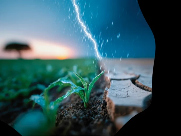 Sustainable Development, Changing Climate and Me (Master)
