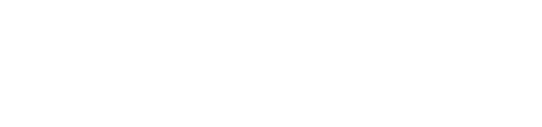Valkoinen FinVector-logo, jonka vasemmalla puolella on tyylitelty pyöreä tunnus ja vaaleanharmaalla taustalla lihavoitu teksti ”FinVector”.