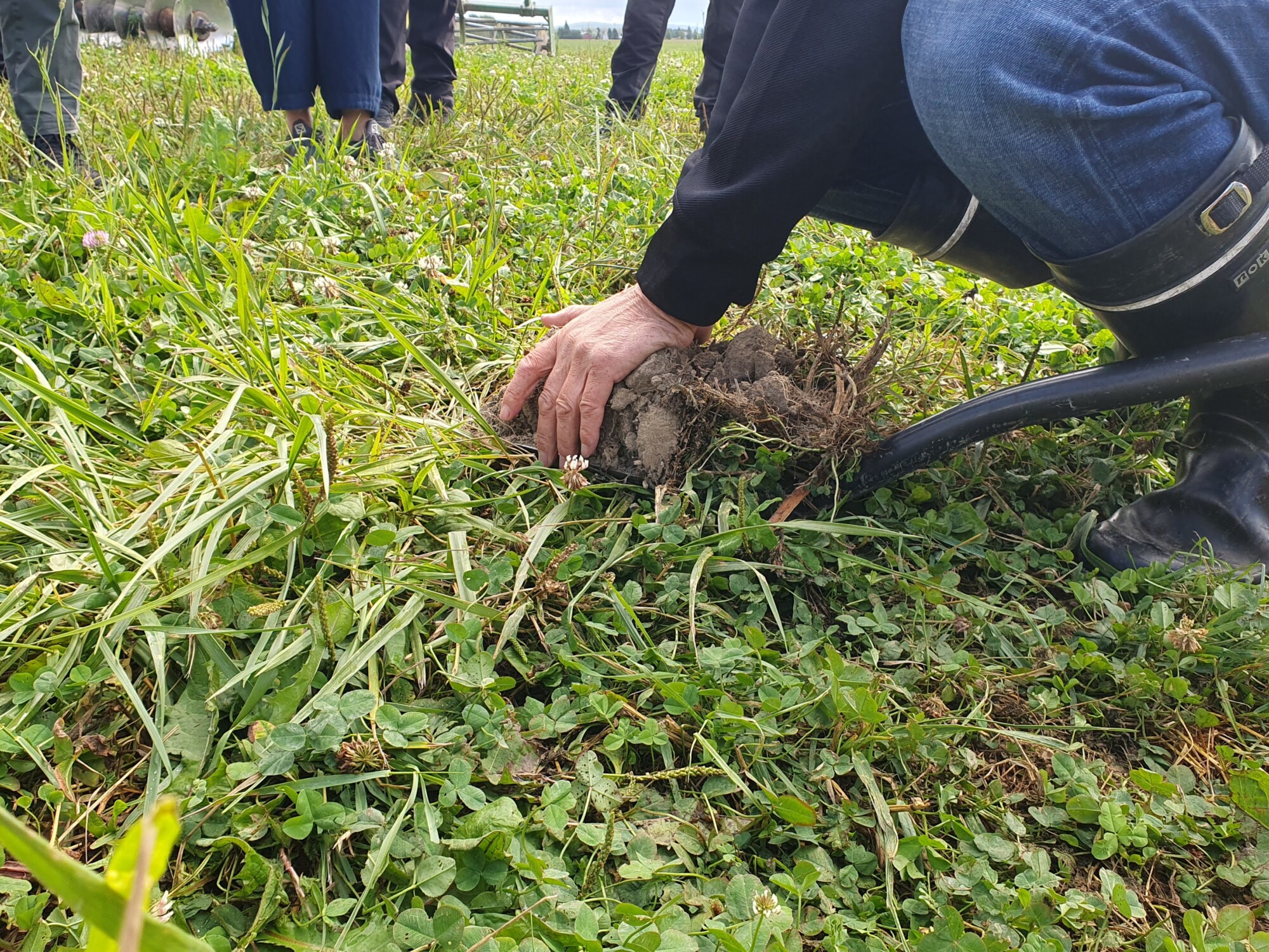 Saappaita jalassaan oleva henkilö kyykistyy ja nostaa palan maata ja ruohoa vihreältä niityltä, kun taustalla seisoo muita ihmisiä.