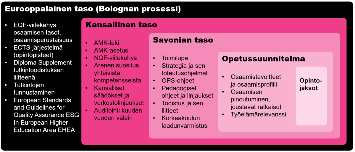 Eurooppalainen taso (Bolognan prosessi) -niminen sisäkkäinen kaavio, joka havainnollistaa korkeakoulutuksen hierarkiaa Euroopan tasolta Savonian omille tasoille sekä opetussuunnitelmaa ja kurssimoduuleja.