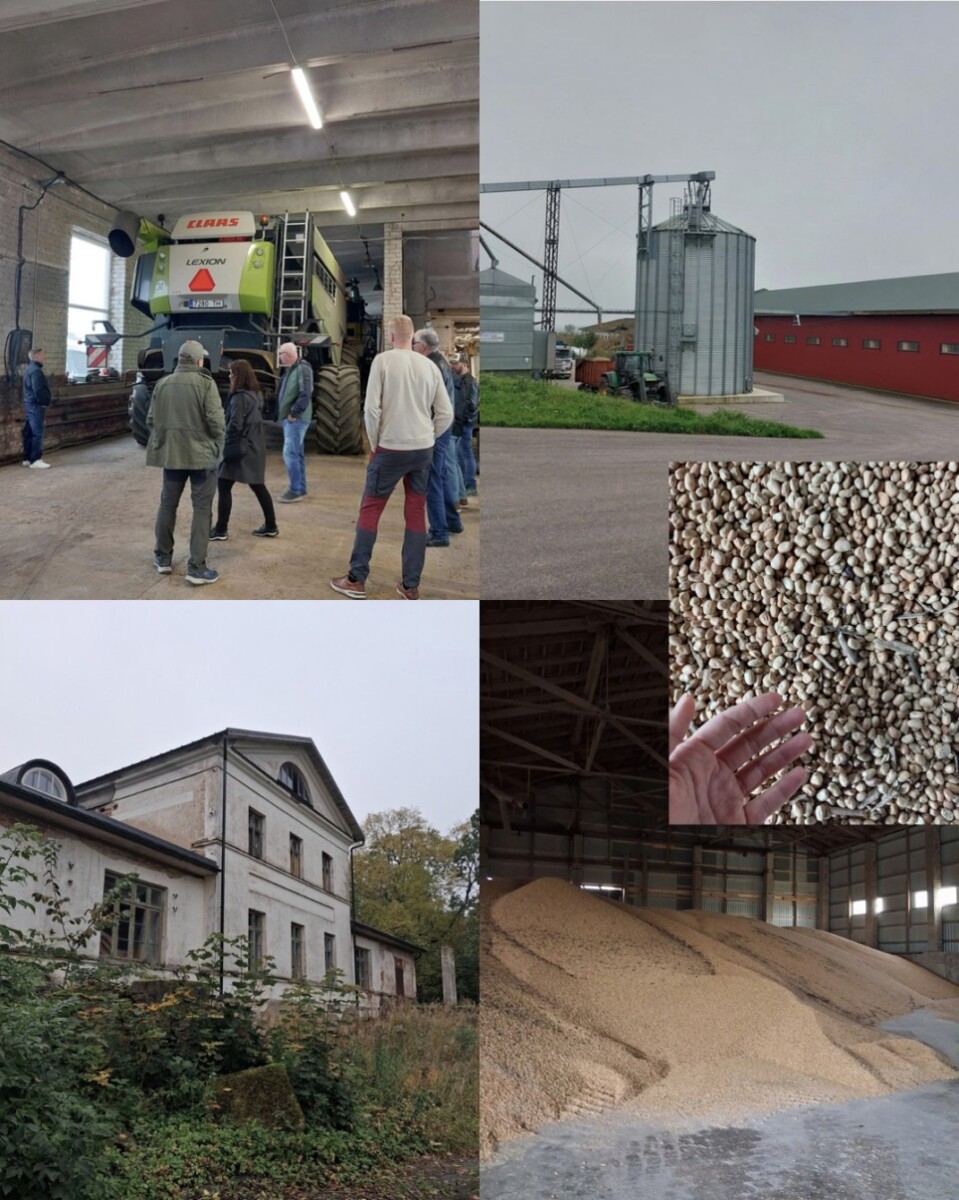 Kollaasi, jossa näkyy ryhmä katsomassa leikkuupuimuria vajaassa, maatilarakennus, jossa on siiloja, käsi, jossa on kourallinen korjattuja papuja, sekä suuri viljakasa varastorakennuksen sisällä.